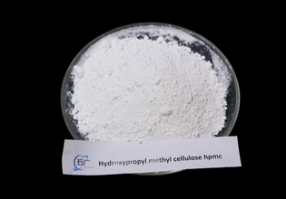 Hydroxypropyl Methyl Cellulose