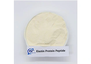 Elastin Protein Peptide