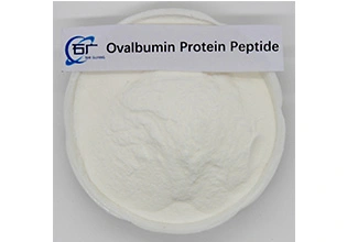 Ovalbumin Protein Peptide Powder