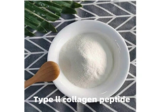 Type Collagen Peptide