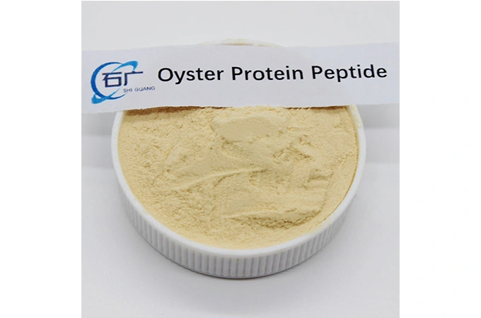 Oyster protein peptide