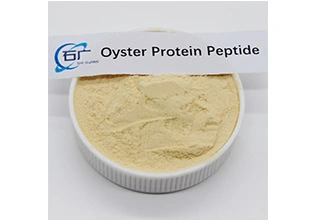 Oyster protein peptide