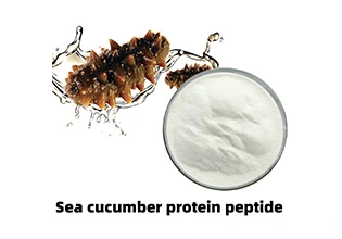 Sea Cucumber Protein Peptide