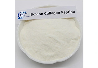 Bovine Collagen Peptide