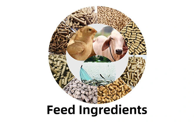 Feed Ingredients