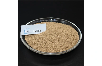 Lysine