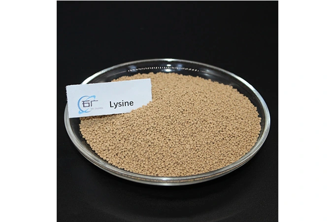 Lysine