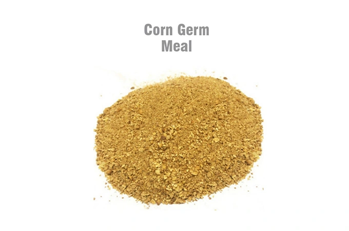 Corn Germ Meal